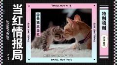 天貓帶來「當紅情報局」：揭示寵物圈精細化養寵新趨勢！